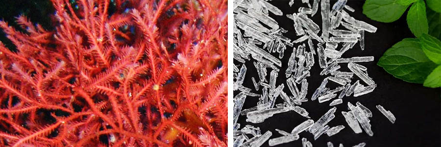 about-image